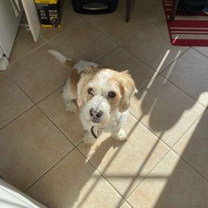 Meet your Posher, Breanna